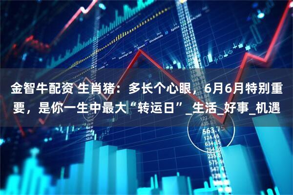 金智牛配资 生肖猪：多长个心眼，6月6月特别重要，是你一生中最大“转运日”_生活_好事_机遇