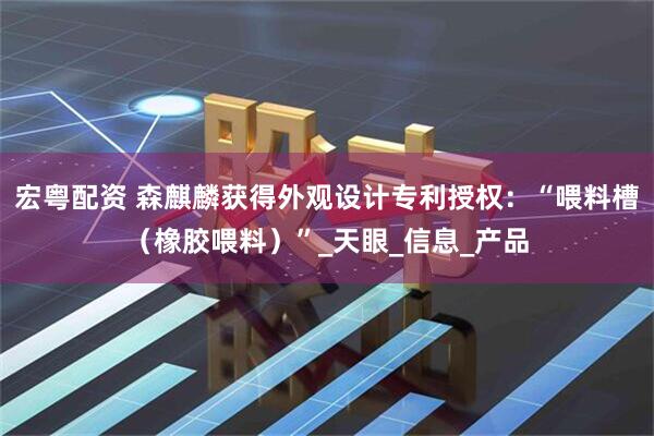 宏粤配资 森麒麟获得外观设计专利授权：“喂料槽（橡胶喂料）”_天眼_信息_产品
